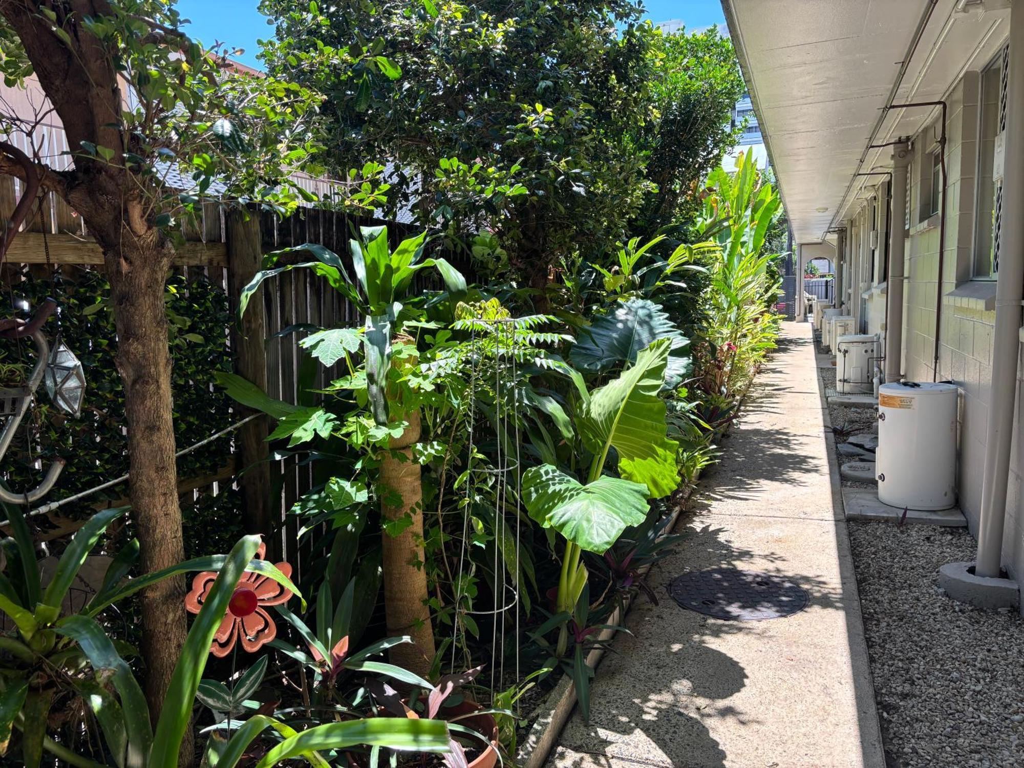 Tropical Ground-Floor Retreat Cairns Apartment Exterior photo