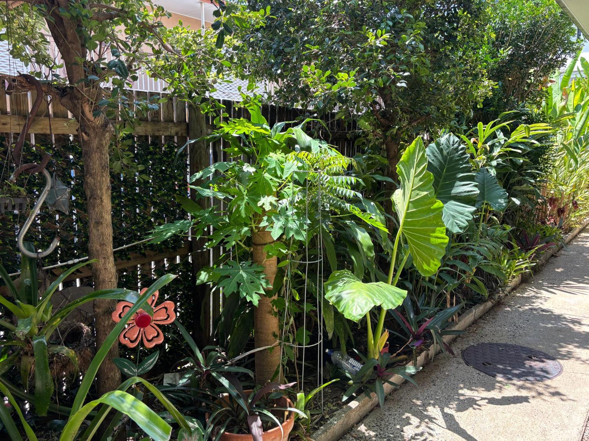 Tropical Ground-Floor Retreat Cairns Apartment Exterior photo