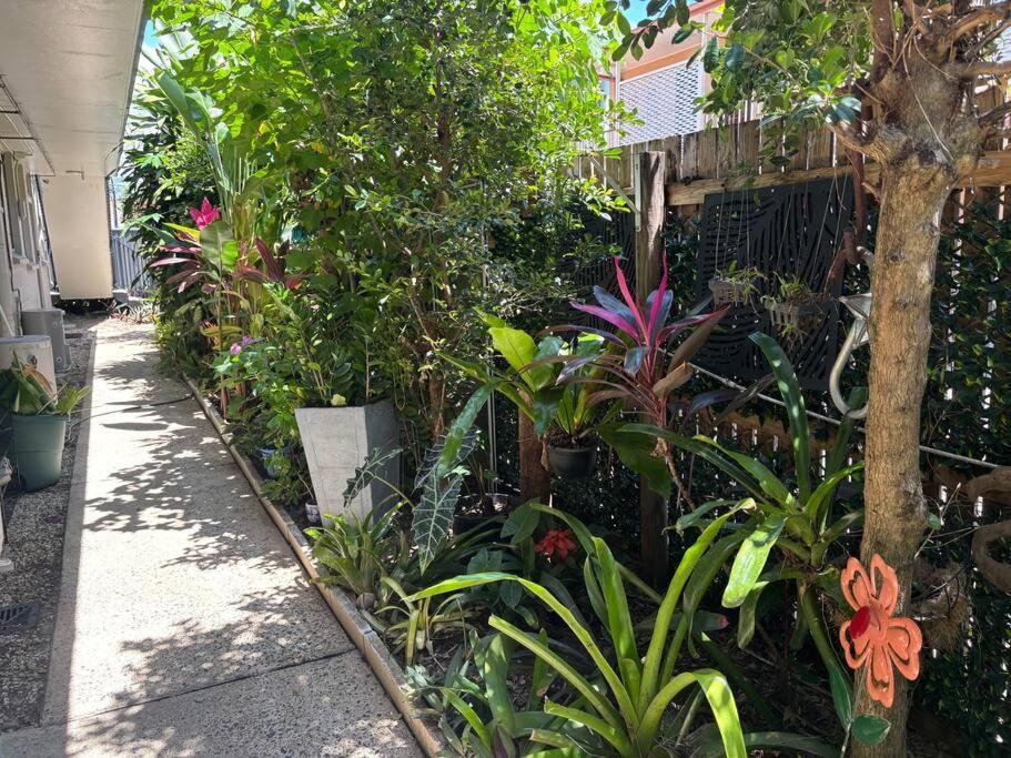 Tropical Ground-Floor Retreat Cairns Apartment Exterior photo